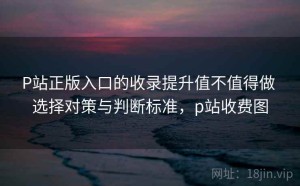P站正版入口的收录提升值不值得做 选择对策与判断标准，p站收费图