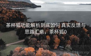 茶杯狐功能解析到底如何 真实反馈与思路汇总，茶杯狐0