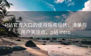 P站官方入口的使用指南现状：清单与用户关注点，p站 intro