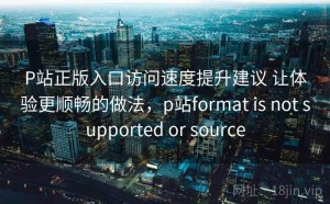 P站正版入口访问速度提升建议 让体验更顺畅的做法，p站format is not supported or source