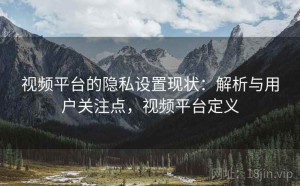 视频平台的隐私设置现状：解析与用户关注点，视频平台定义