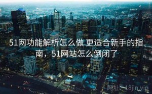 51网功能解析怎么做 更适合新手的指南，51网站怎么倒闭了