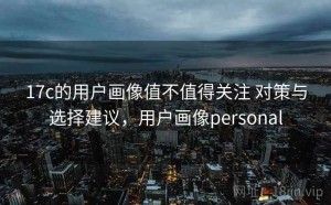 17c的用户画像值不值得关注 对策与选择建议，用户画像personal