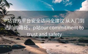 P站官方平台安全访问全建议 从入门到进阶的路径，p站our commitment to trust and safety