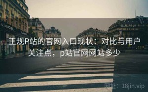 正规P站的官网入口现状：对比与用户关注点，p站官网网站多少