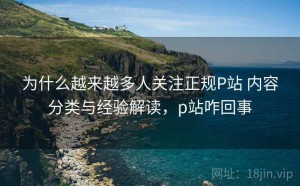 为什么越来越多人关注正规P站 内容分类与经验解读，p站咋回事