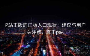 P站正版的正版入口现状：建议与用户关注点，真正p站