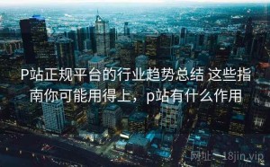 P站正规平台的行业趋势总结 这些指南你可能用得上，p站有什么作用