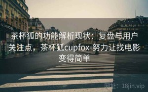 茶杯狐的功能解析现状：复盘与用户关注点，茶杯狐cupfox-努力让找电影变得简单