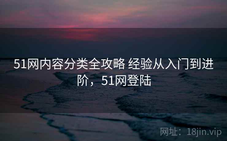 51网内容分类全攻略 经验从入门到进阶，51网登陆