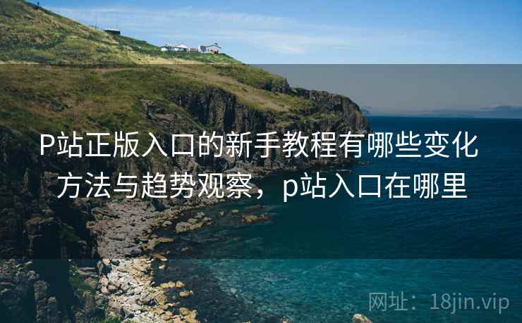 P站正版入口的新手教程有哪些变化 方法与趋势观察，p站入口在哪里