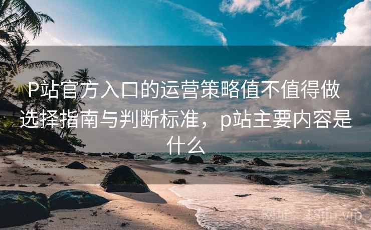 P站官方入口的运营策略值不值得做 选择指南与判断标准，p站主要内容是什么