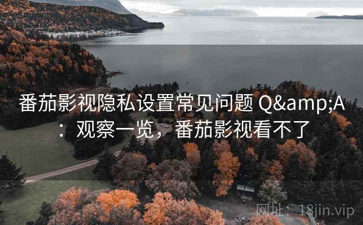 番茄影视隐私设置常见问题 Q&A：观察一览，番茄影视看不了