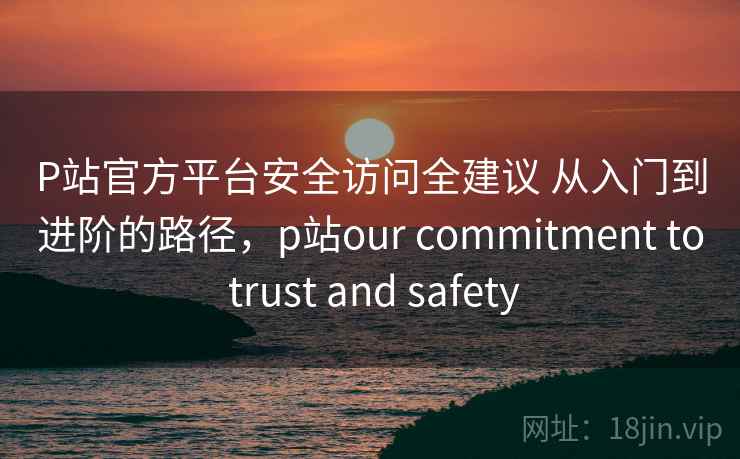 P站官方平台安全访问全建议 从入门到进阶的路径，p站our commitment to trust and safety