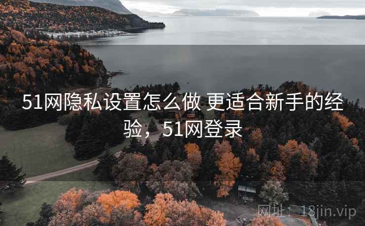 51网隐私设置怎么做 更适合新手的经验，51网登录