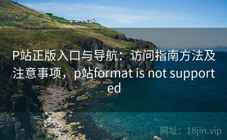 P站正版入口与导航：访问指南方法及注意事项，p站format is not supported