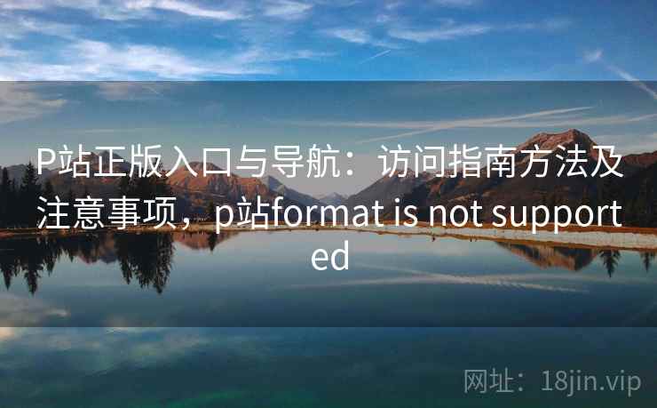 P站正版入口与导航：访问指南方法及注意事项，p站format is not supported
