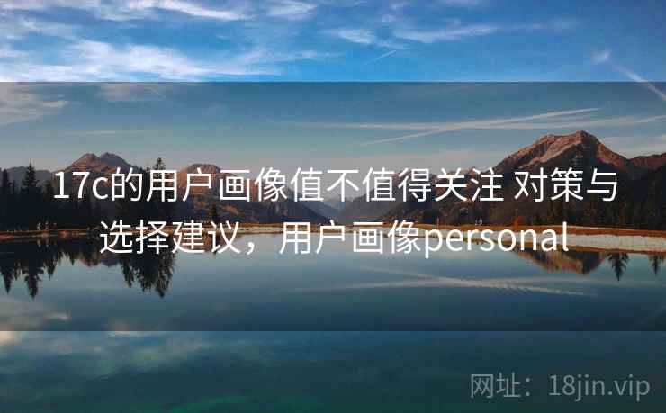 17c的用户画像值不值得关注 对策与选择建议，用户画像personal