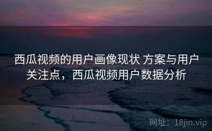 西瓜视频的用户画像现状 方案与用户关注点，西瓜视频用户数据分析