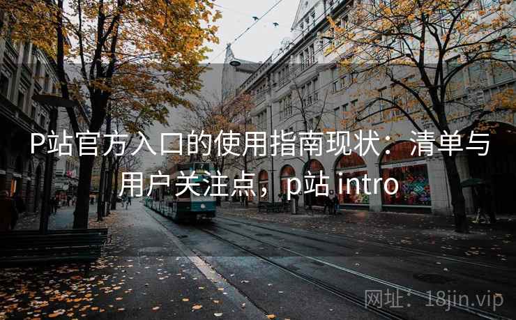 P站官方入口的使用指南现状：清单与用户关注点，p站 intro