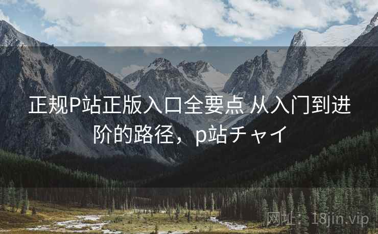 正规P站正版入口全要点 从入门到进阶的路径,p站チャイ 正规P站正版入口全要点 从入门到进阶的路径,p站チャイ