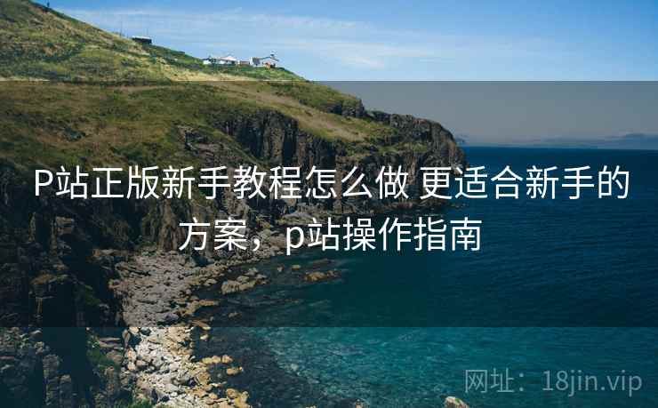 P站正版新手教程怎么做 更适合新手的方案，p站操作指南