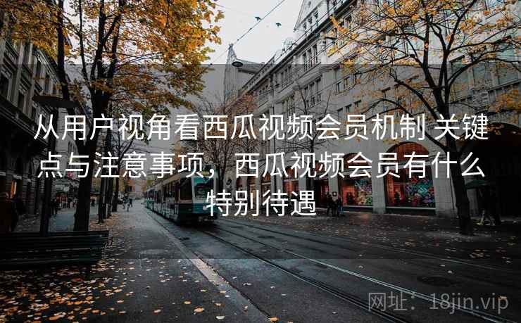从用户视角看西瓜视频会员机制 关键点与注意事项，西瓜视频会员有什么特别待遇