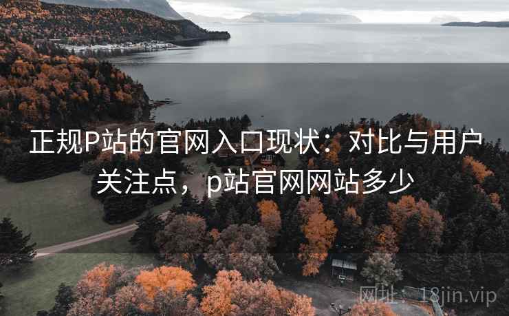 正规P站的官网入口现状:对比与用户关注点,p站官网网站多少 正规P站的官网入口现状:对比与用户关注点,p站官网网站多少