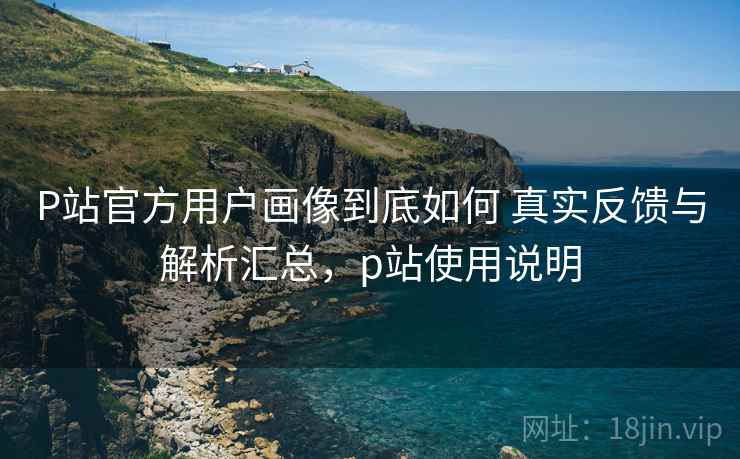 P站官方用户画像到底如何 真实反馈与解析汇总，p站使用说明